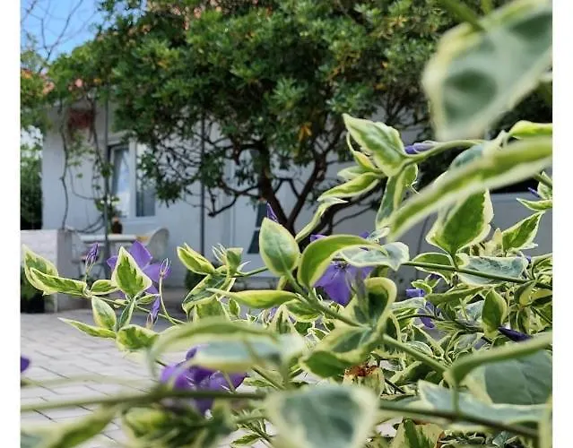 House Old Town Tatil Evi