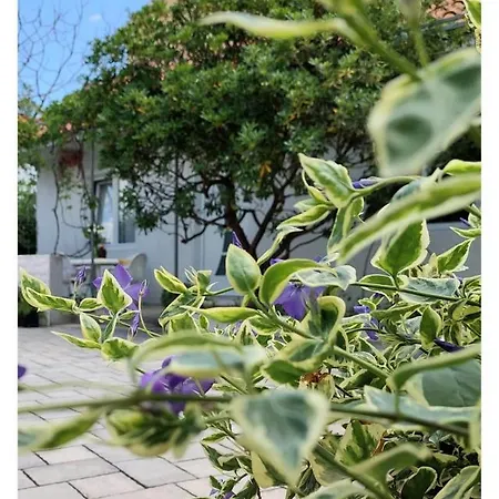 House Old Town Tatil Evi